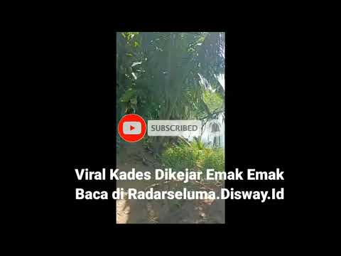 Kades kabur, Ditagih Emak-emak Ras Terkuat di Bumi