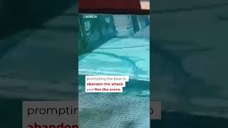 CCTV Captures Black Bear Attack In Srinagar | Mo of Everything