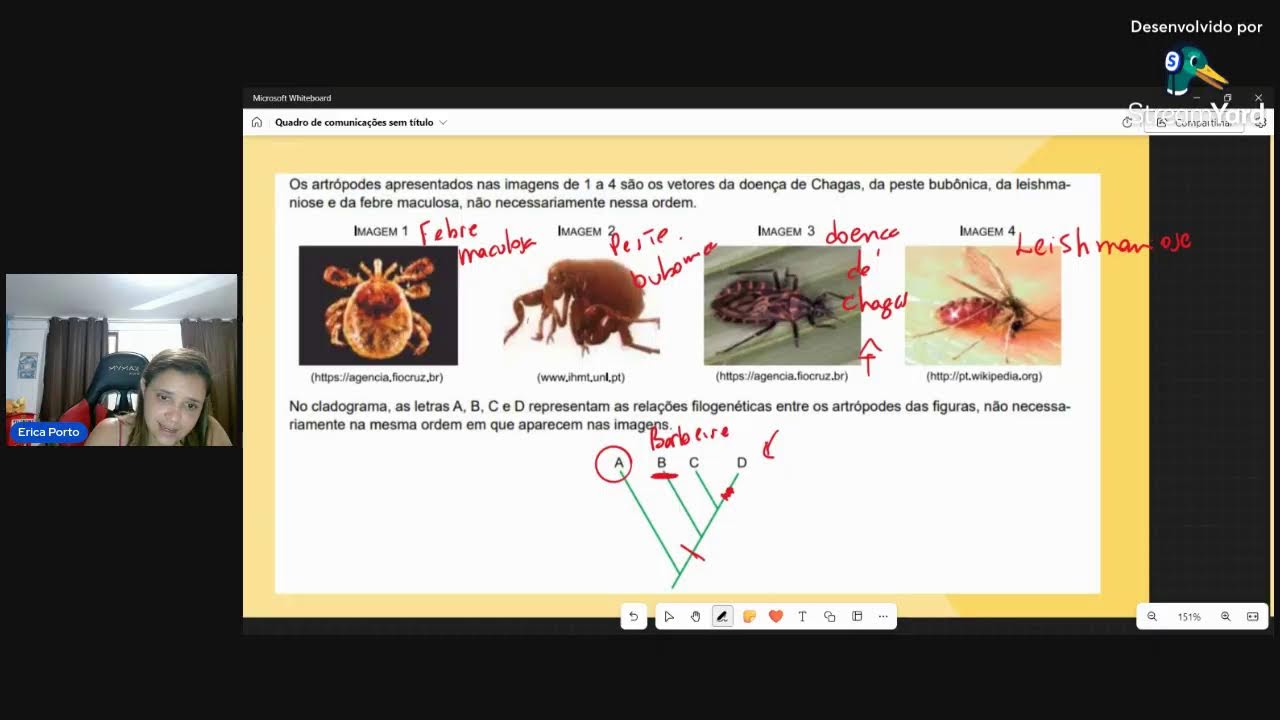 Unesp 2º Fase Biologia
