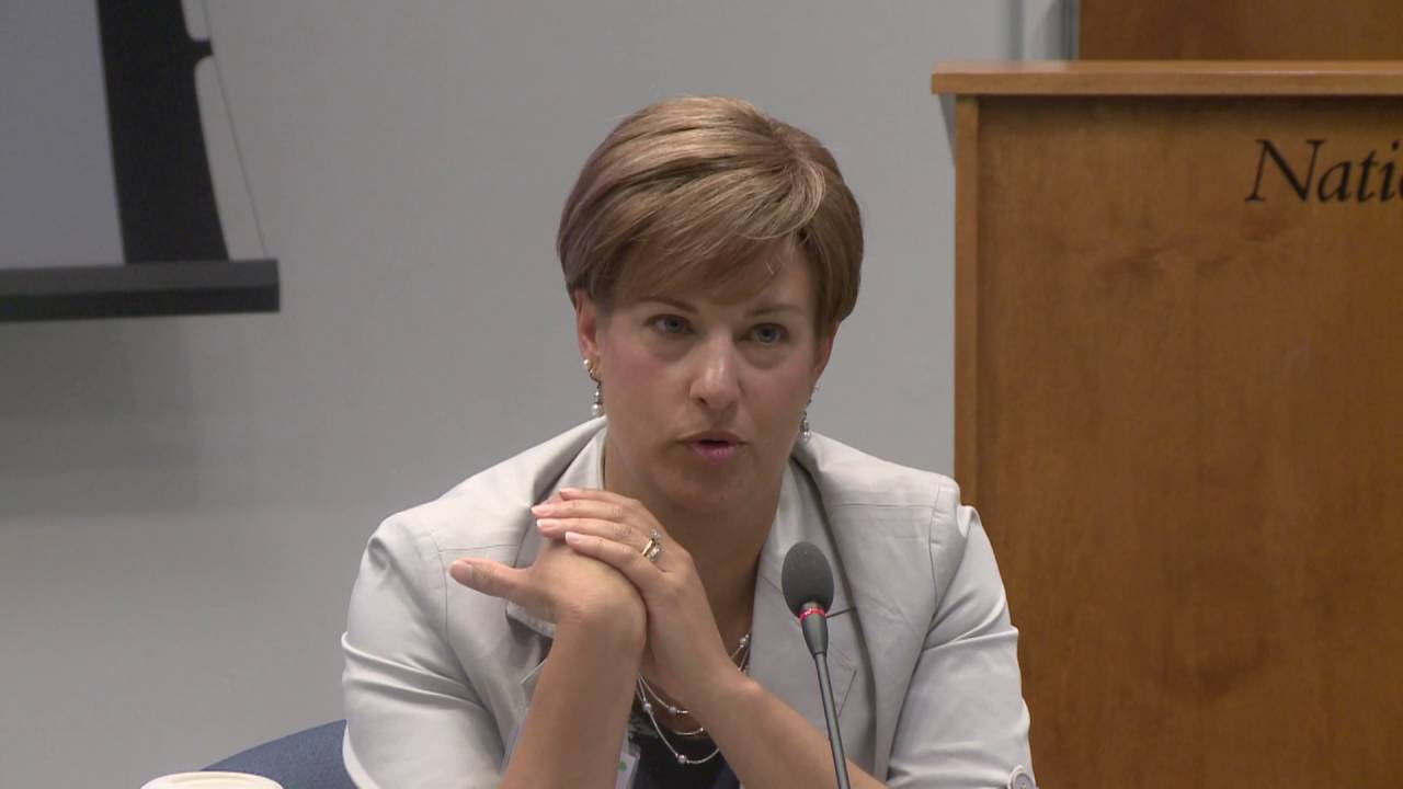 Risk Assessment (Panel)