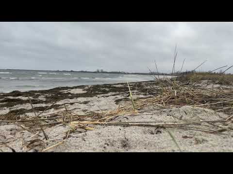 Five minutes of not a lot happening at Brøndby/Vallensbæk Strand, Denmark
