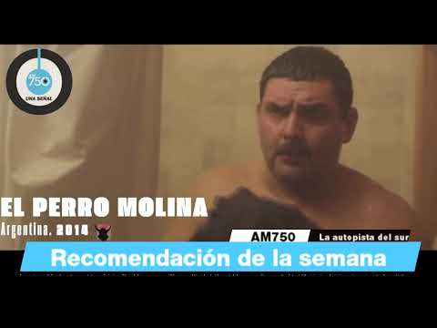 Trailer oficial TERRITORIO (2023) de José Celestino Campusano