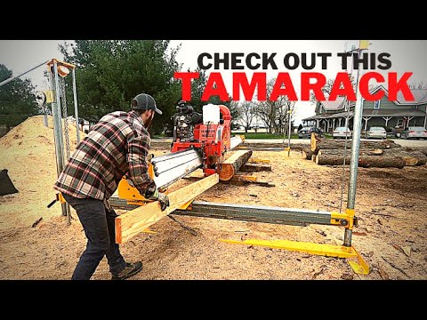 Mahoe Sawmill in Action! Cutting some Tamarack, ever heard of it?