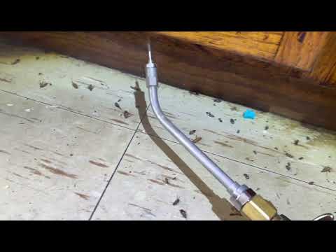 A Large Cockroach Infestation Throughout Multifamily Unit in West Long Branch, NJ