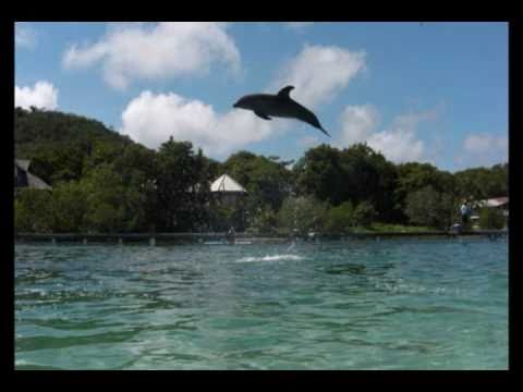 Polache Feat Pilo Tejeda  Sopa de Caracol