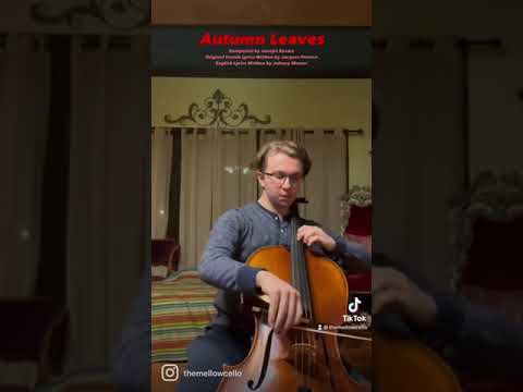 Promotional video thumbnail 9 for The Mellow Cello
