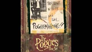The Pogues - Poor Paddy on the Railway - Live