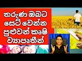 Department Of Agriculture New Agriculture Entrepreneurship Programs For Young Farmers In Sri Lanka
