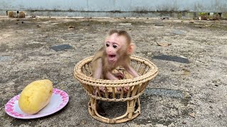 Selena Curiously Call Mom For Ripe Mangos Fruits