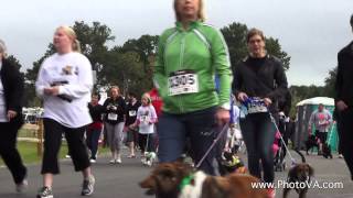 Chesapeake Humane Society