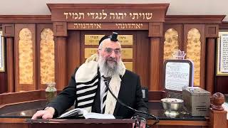 מה מברכים כאשר מוצצים פרי ולא אוכלים אותו (הרב יצחק ישראלי) - התמונה מוצגת ישירות מתוך אתר האינטרנט יוטיוב. זכויות היוצרים בתמונה שייכות ליוצרה. קישור קרדיט למקור התוכן נמצא בתוך דף הסרטון