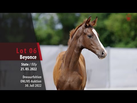 OnLive-Auktion Lot 06 Beyonce Stute v. Bonds - Sir Heinrich