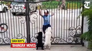 Two canines watch Sikh boys Bhangra moves  video l