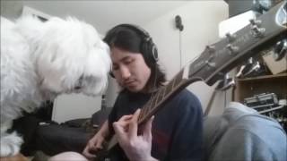 Kemono Friends ED, Boku no Friend Cover