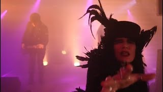 Down From Above - Animal (Official Video)