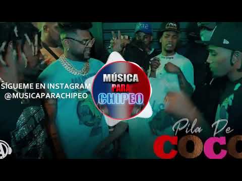 PILA DE COCO 🥥 - EL MAYOR CLÁSICO DOBLE TONO PARA CHIPEO