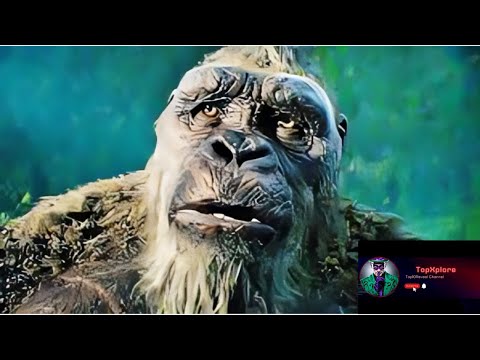 KONG É AMPARADO PELO SUKO E TENTA CONVENCER O GODZILLA A ENTRAR NO BURACO NO EGITO | 4K