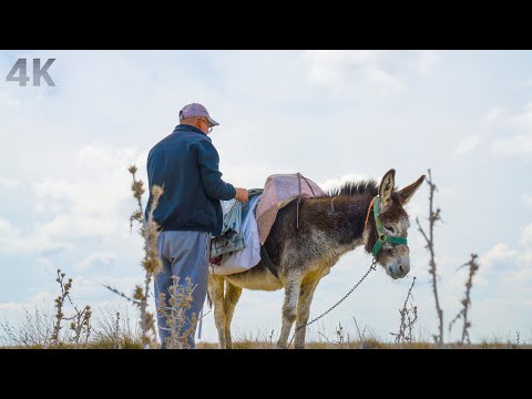 , title : 'Bozkır’da Göç – Bir Çobanın Gözünden- 4K Belgesel'