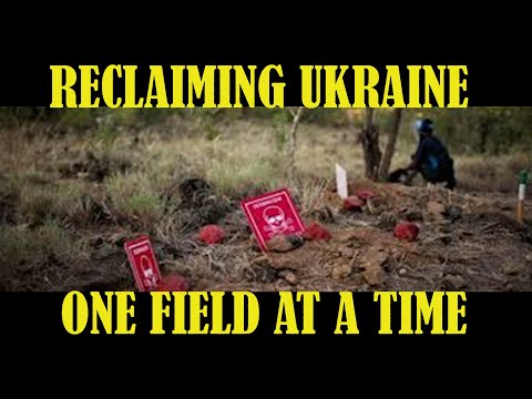 From Contamination to Restoration: Join IAA’s Ukraine Recovery Mission