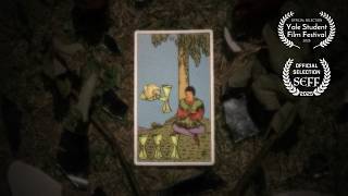 four of cups - short film