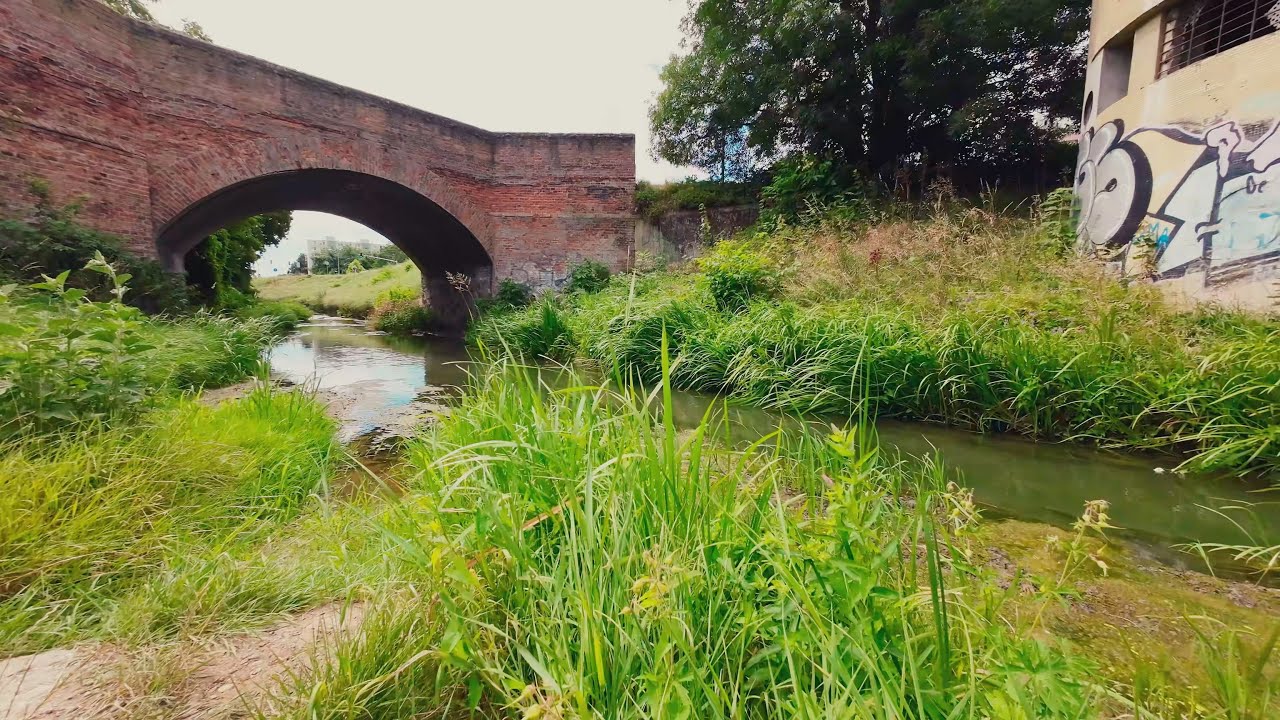 Gipsy JANKA - Tou cestou (cover - Country roads)
