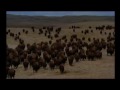 Buffalo Jump -Lakota