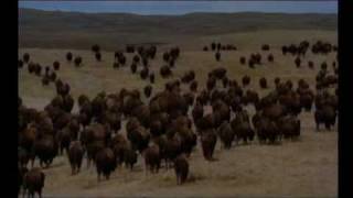 Buffalo Jump -Lakota