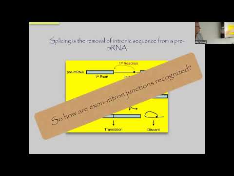 From evolution at synonymous sites to improve gene therapy and diagnostics by Laurence Hurst