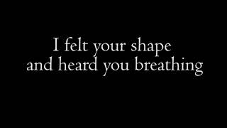 The Microphones - I felt your shape Lyrics