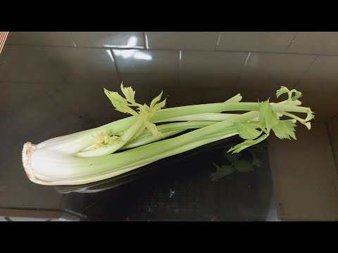 If you have celery at home, make this delicious and easy and cheap recipe!