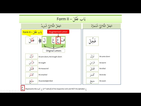 Madinah Arabic Book 3, Lesson 16 (Part 3)