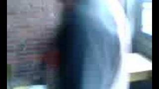 yo a tu casa no voy mas