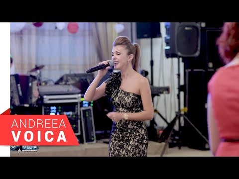 Andreea Voica - In Banat la mine acasa & Colaj Brauri (Nunta LIVE 2017)