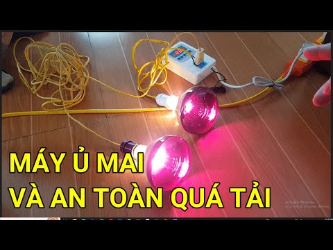 🔴QBS22336 - MÁY Ủ NHIỆT MAI VÀNG | CÁCH LÀM MAI VÀNG NỞ ĐÚNG TẾT ÂM | CHĂM SÓC MAI VÀNG MIỀN BẮC