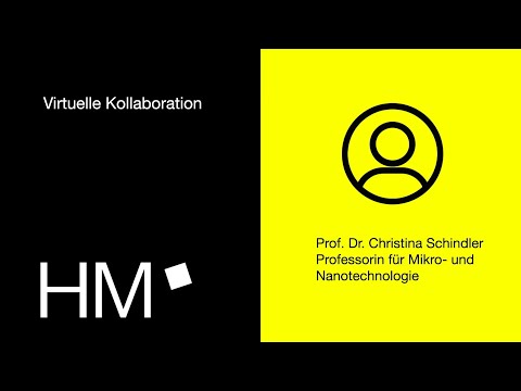 Prof. Dr.-Ing. Christina Schindler. Virtual Collaboration in a Technical Laboratory.