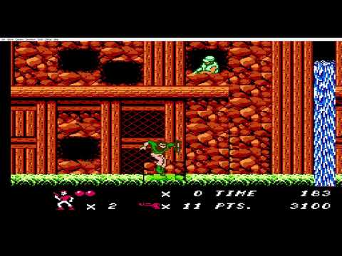 Code Name: Viper (NES) hidden/Secret door
