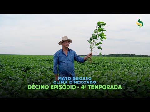 Mato Grosso Clima e Mercado - episódio 10