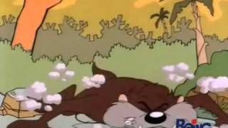 Tazmania sigla : CANTATA DALLA GRANDE CRISTINA d'AVENA