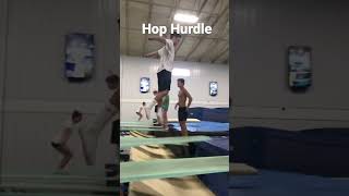 Hop Hurdle Demo