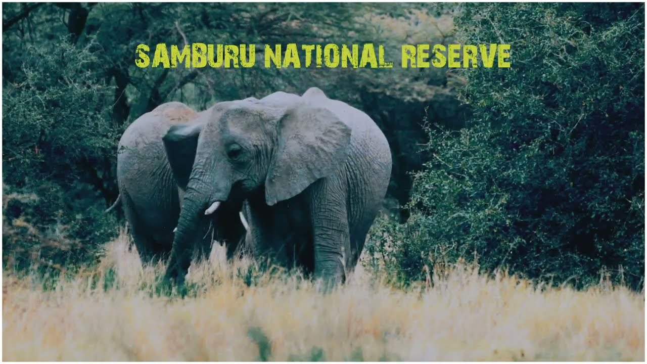 Wildlife & Nature