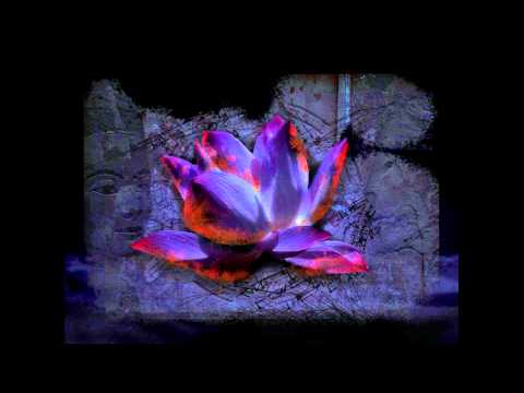 Bill Laswell / Sacred System - Black Lotus
