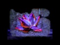 Bill Laswell / Sacred System - Black Lotus