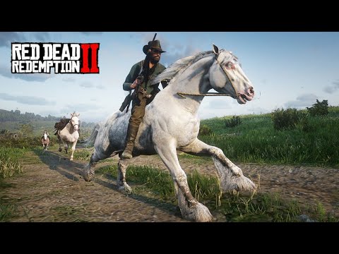 O MAIS PURO DE TODOS OS CAVALOS  -  Red Dead Redemption 2