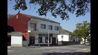 CASTRO RIBERAS DE LEA (LUGO 2011)