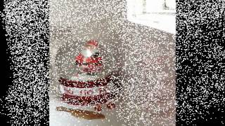 Snow Globe Carols - O Christmas Tree - Howard J Foster