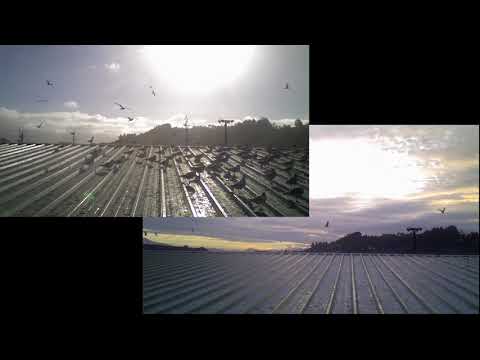 Before/After Agrilaser Autonomic's installation