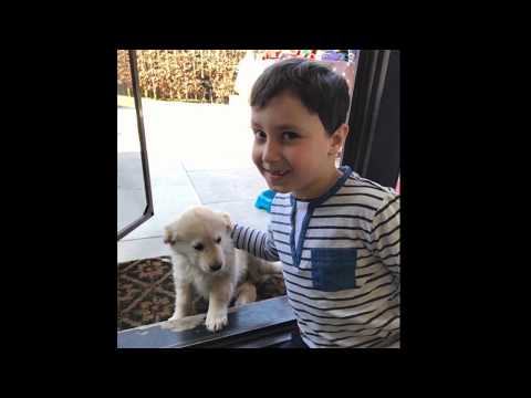 Asta-i parerea mea - David Sirbu