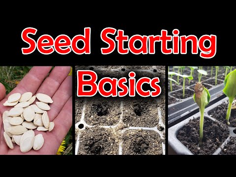 How To Reuse Old Potting Soil FOUR ways