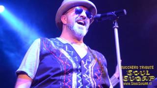 Soul Sugar Tributo a Zucchero