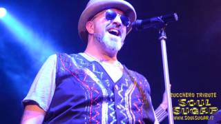 Soul Sugar Tributo a Zucchero video preview